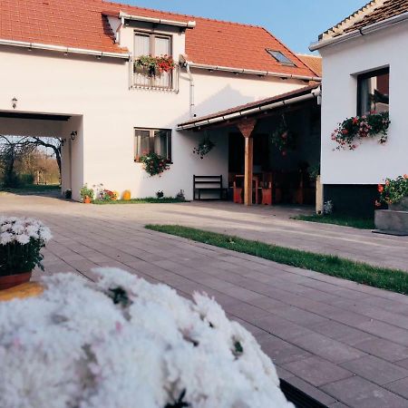 Casa Badea 호텔 Riu Alb 외부 사진